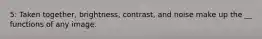 5: Taken together, brightness, contrast, and noise make up the __ functions of any image.