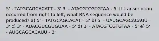 5' - TATGCAGCACATT - 3' 3' - ATACGTCGTGTAA - 5' If transcription occurred from right to left, what RNA sequence would be produced? a) 5' - TATGCAGCACATT- 3' b) 5' - UAUGCAGCACAUU - 3' c) 3' - AUACGUCGUGUAA - 5' d) 3' - ATACGTCGTGTAA - 5' e) 5' - AUGCAGCACAUU - 3'