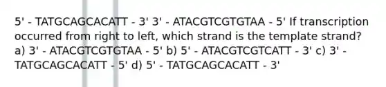 5' - TATGCAGCACATT - 3' 3' - ATACGTCGTGTAA - 5' If transcription occurred from right to left, which strand is the template strand? a) 3' - ATACGTCGTGTAA - 5' b) 5' - ATACGTCGTCATT - 3' c) 3' - TATGCAGCACATT - 5' d) 5' - TATGCAGCACATT - 3'