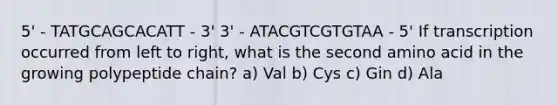 5' - TATGCAGCACATT - 3' 3' - ATACGTCGTGTAA - 5' If transcription occurred from left to right, what is the second amino acid in the growing polypeptide chain? a) Val b) Cys c) Gin d) Ala