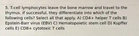 5. T-cell lymphocytes leave the bone marrow and travel to the thymus. If successful, they differentiate into which of the following cells? Select all that apply. A) CD4+ helper T cells B) Epstein-Barr virus (EBV) C) Hematopoietic stem cell D) Kupffer cells E) CD8+ cytotoxic T cells