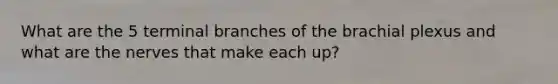 What are the 5 terminal branches of the brachial plexus and what are the nerves that make each up?