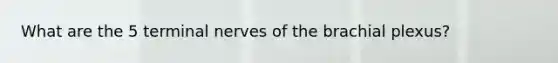 What are the 5 terminal nerves of the brachial plexus?