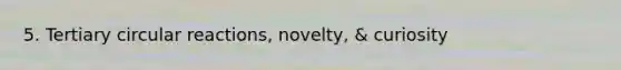 5. Tertiary circular reactions, novelty, & curiosity