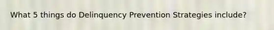 What 5 things do Delinquency Prevention Strategies include?