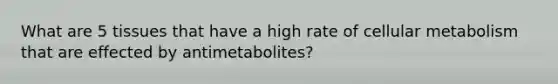 What are 5 tissues that have a high rate of cellular metabolism that are effected by antimetabolites?