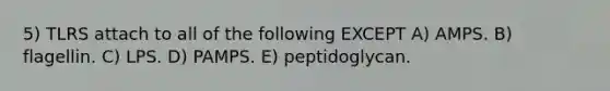 5) TLRS attach to all of the following EXCEPT A) AMPS. B) flagellin. C) LPS. D) PAMPS. E) peptidoglycan.