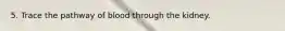 5. Trace the pathway of blood through the kidney.