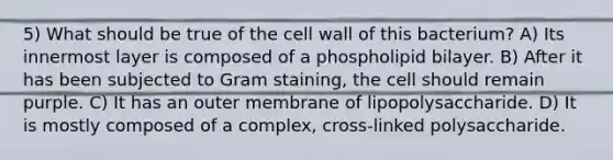 5) What should be true of the cell wall of this bacterium? A) Its innermost layer is composed of a phospholipid bilayer. B) After it has been subjected to Gram staining, the cell should remain purple. C) It has an outer membrane of lipopolysaccharide. D) It is mostly composed of a complex, cross-linked polysaccharide.