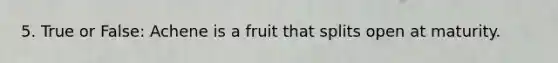 5. True or False: Achene is a fruit that splits open at maturity.