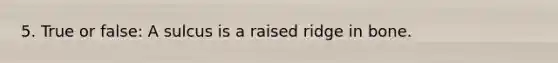 5. True or false: A sulcus is a raised ridge in bone.