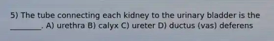 5) The tube connecting each kidney to the urinary bladder is the ________. A) urethra B) calyx C) ureter D) ductus (vas) deferens