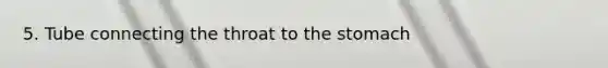 5. Tube connecting the throat to the stomach