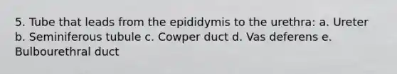 5. Tube that leads from the epididymis to the urethra: a. Ureter b. Seminiferous tubule c. Cowper duct d. Vas deferens e. Bulbourethral duct