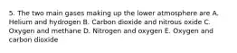 5. The two main gases making up the lower atmosphere are A. Helium and hydrogen B. Carbon dioxide and nitrous oxide C. Oxygen and methane D. Nitrogen and oxygen E. Oxygen and carbon dioxide