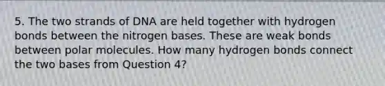 5. The two strands of DNA are held together with hydrogen bonds between the nitrogen bases. These are weak bonds between polar molecules. How many hydrogen bonds connect the two bases from Question 4?