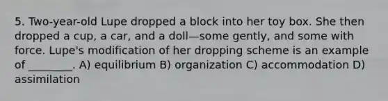 5. Two-year-old Lupe dropped a block into her toy box. She then dropped a cup, a car, and a doll—some gently, and some with force. Lupe's modification of her dropping scheme is an example of ________. A) equilibrium B) organization C) accommodation D) assimilation