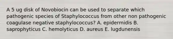 A 5 ug disk of Novobiocin can be used to separate which pathogenic species of Staphylococcus from other non pathogenic coagulase negative staphylococcus? A. epidermidis B. saprophyticus C. hemolyticus D. aureus E. lugdunensis