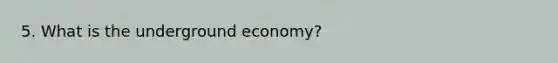 5. What is the underground economy?