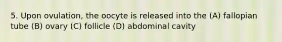 5. Upon ovulation, the oocyte is released into the (A) fallopian tube (B) ovary (C) follicle (D) abdominal cavity