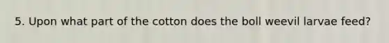 5. Upon what part of the cotton does the boll weevil larvae feed?