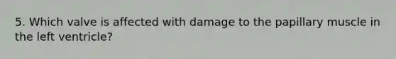 5. Which valve is affected with damage to the papillary muscle in the left ventricle?