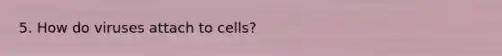 5. How do viruses attach to cells?