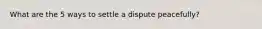 What are the 5 ways to settle a dispute peacefully?