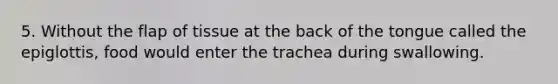 5. Without the flap of tissue at the back of the tongue called the epiglottis, food would enter the trachea during swallowing.