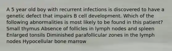 A 5 year old boy with recurrent infections is discovered to have a genetic defect that impairs B cell development. Which of the following abnormalities is most likely to be found in this patient? Small thymus Absence of follicles in lymph nodes and spleen Enlarged tonsils Diminished parafollicular zones in the lymph nodes Hypocellular bone marrow