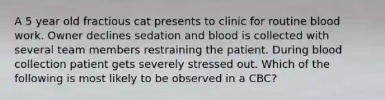 A 5 year old fractious cat presents to clinic for routine blood work. Owner declines sedation and blood is collected with several team members restraining the patient. During blood collection patient gets severely stressed out. Which of the following is most likely to be observed in a CBC?