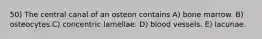 50) The central canal of an osteon contains A) bone marrow. B) osteocytes.C) concentric lamellae. D) blood vessels. E) lacunae.