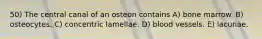 50) The central canal of an osteon contains A) bone marrow. B) osteocytes. C) concentric lamellae. D) blood vessels. E) lacunae.