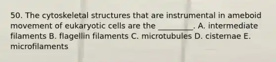 50. The cytoskeletal structures that are instrumental in ameboid movement of eukaryotic cells are the _________. A. intermediate filaments B. flagellin filaments C. microtubules D. cisternae E. microfilaments