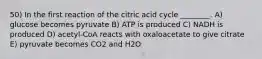 50) In the first reaction of the citric acid cycle ________. A) glucose becomes pyruvate B) ATP is produced C) NADH is produced D) acetyl-CoA reacts with oxaloacetate to give citrate E) pyruvate becomes CO2 and H2O