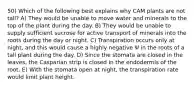 50) Which of the following best explains why CAM plants are not tall? A) They would be unable to move water and minerals to the top of the plant during the day. B) They would be unable to supply sufficient sucrose for active transport of minerals into the roots during the day or night. C) Transpiration occurs only at night, and this would cause a highly negative Ψ in the roots of a tall plant during the day. D) Since the stomata are closed in the leaves, the Casparian strip is closed in the endodermis of the root. E) With the stomata open at night, the transpiration rate would limit plant height.