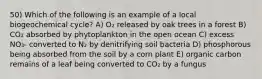 50) Which of the following is an example of a local biogeochemical cycle? A) O₂ released by oak trees in a forest B) CO₂ absorbed by phytoplankton in the open ocean C) excess NO₃- converted to N₂ by denitrifying soil bacteria D) phosphorous being absorbed from the soil by a corn plant E) organic carbon remains of a leaf being converted to CO₂ by a fungus