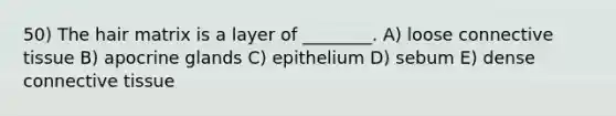 50) The hair matrix is a layer of ________. A) loose connective tissue B) apocrine glands C) epithelium D) sebum E) dense connective tissue