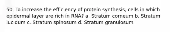 50. To increase the efficiency of protein synthesis, cells in which epidermal layer are rich in RNA? a. Stratum corneum b. Stratum lucidum c. Stratum spinosum d. Stratum granulosum