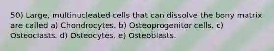 50) Large, multinucleated cells that can dissolve the bony matrix are called a) Chondrocytes. b) Osteoprogenitor cells. c) Osteoclasts. d) Osteocytes. e) Osteoblasts.