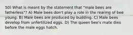 50) What is meant by the statement that "male bees are fatherless"? A) Male bees don't play a role in the rearing of bee young. B) Male bees are produced by budding. C) Male bees develop from unfertilized eggs. D) The queen bee's mate dies before the male eggs hatch.