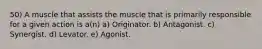 50) A muscle that assists the muscle that is primarily responsible for a given action is a(n) a) Originator. b) Antagonist. c) Synergist. d) Levator. e) Agonist.