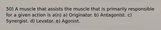 50) A muscle that assists the muscle that is primarily responsible for a given action is a(n) a) Originator. b) Antagonist. c) Synergist. d) Levator. e) Agonist.