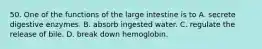 50. One of the functions of the large intestine is to A. secrete digestive enzymes. B. absorb ingested water. C. regulate the release of bile. D. break down hemoglobin.