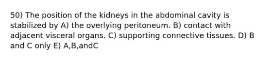 50) The position of the kidneys in the abdominal cavity is stabilized by A) the overlying peritoneum. B) contact with adjacent visceral organs. C) supporting connective tissues. D) B and C only E) A,B,andC