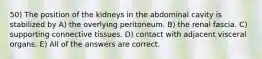 50) The position of the kidneys in the abdominal cavity is stabilized by A) the overlying peritoneum. B) the renal fascia. C) supporting connective tissues. D) contact with adjacent visceral organs. E) All of the answers are correct.