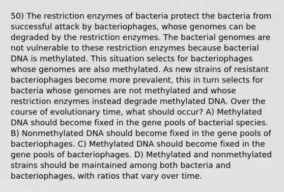 50) The restriction enzymes of bacteria protect the bacteria from successful attack by bacteriophages, whose genomes can be degraded by the restriction enzymes. The bacterial genomes are not vulnerable to these restriction enzymes because bacterial DNA is methylated. This situation selects for bacteriophages whose genomes are also methylated. As new strains of resistant bacteriophages become more prevalent, this in turn selects for bacteria whose genomes are not methylated and whose restriction enzymes instead degrade methylated DNA. Over the course of evolutionary time, what should occur? A) Methylated DNA should become fixed in the gene pools of bacterial species. B) Nonmethylated DNA should become fixed in the gene pools of bacteriophages. C) Methylated DNA should become fixed in the gene pools of bacteriophages. D) Methylated and nonmethylated strains should be maintained among both bacteria and bacteriophages, with ratios that vary over time.