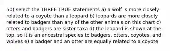 50) select the THREE TRUE statements a) a wolf is more closely related to a coyote than a leopard b) leopards are more closely related to badgers than any of the other animals on this chart c) otters and badgers are sister taxa d) the leopard is shown at the top, so it is an ancestral species to badgers, otters, coyotes, and wolves e) a badger and an otter are equally related to a coyote