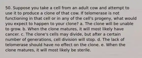 50. Suppose you take a cell from an adult cow and attempt to use it to produce a clone of that cow. If telomerase is not functioning in that cell or in any of the cell's progeny, what would you expect to happen to your clone?​ a. The clone will be unable to grow.​ b. ​When the clone matures, it will most likely have cancer. c. ​The clone's cells may divide, but after a certain number of generations, cell division will stop. d. ​The lack of telomerase should have no effect on the clone. e. ​When the clone matures, it will most likely be sterile.