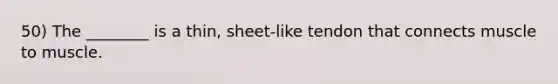 50) The ________ is a thin, sheet-like tendon that connects muscle to muscle.